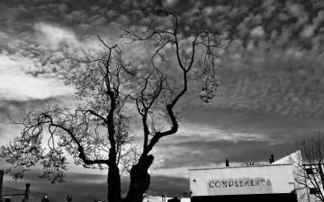 sky over alameda.jpg